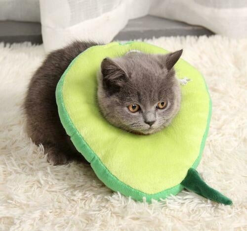 Soft Adjustable Pet Recovery Collar β Cute Lemon, Avocado, Peach & Toast Designs for Cats & Small Dogs (S-L)
