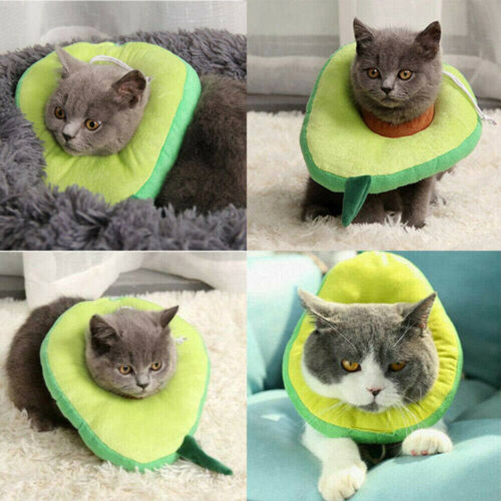 Soft Adjustable Pet Recovery Collar – Cute Lemon, Avocado, Peach & Toast Designs for Cats & Small Dogs (S-L)