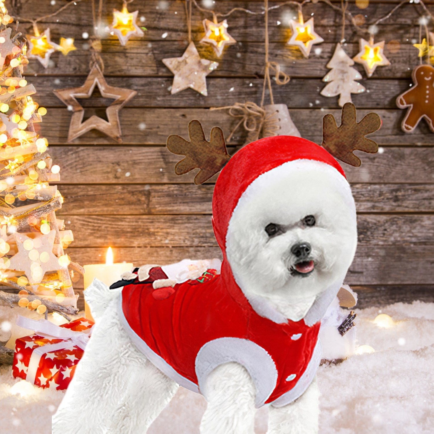 Santa & Reindeer Pet Costume – Red Christmas Outfit with Antlers for Small & Medium Dogs & Cats (S-XL)