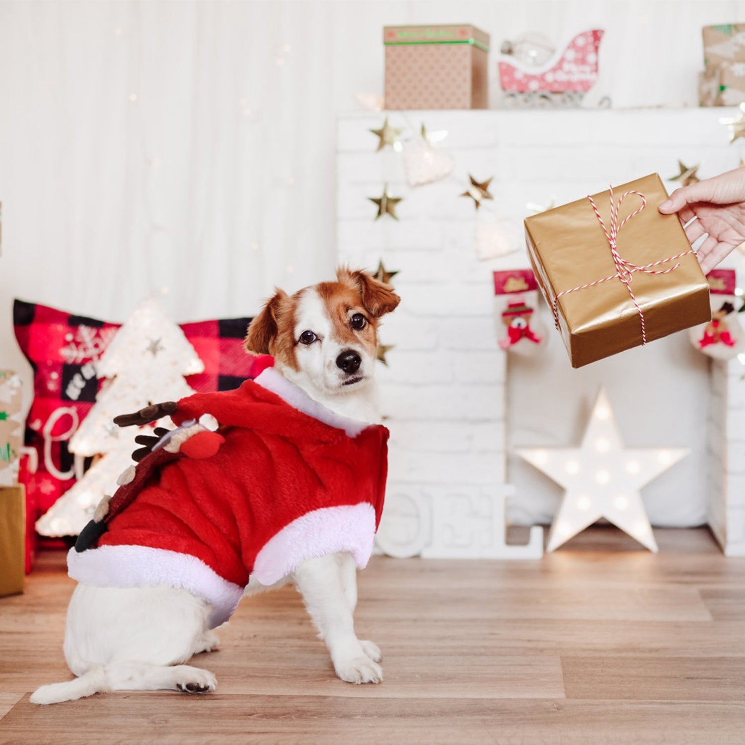 Santa & Reindeer Pet Costume – Red Christmas Outfit with Antlers for Small & Medium Dogs & Cats (S-XL)